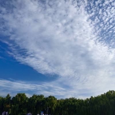 比特小队无限金币版下载