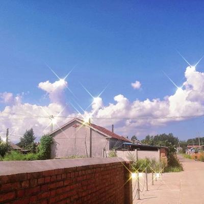 熹妃q传bt版下载