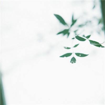 消除大乱斗(暂未上线)v1.1 安卓版