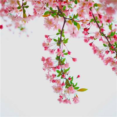 家具大乱斗手机版下载
